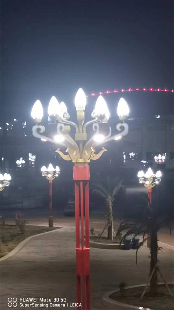 玉兰灯4 玉兰灯4